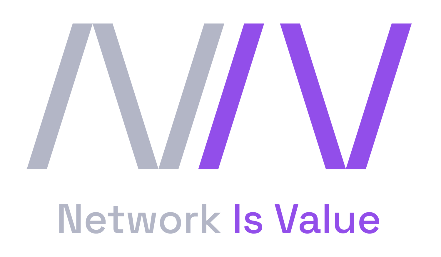 Niv Network - Network Is Value